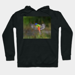 Painted Bunting Bird Flying Colors Hoodie